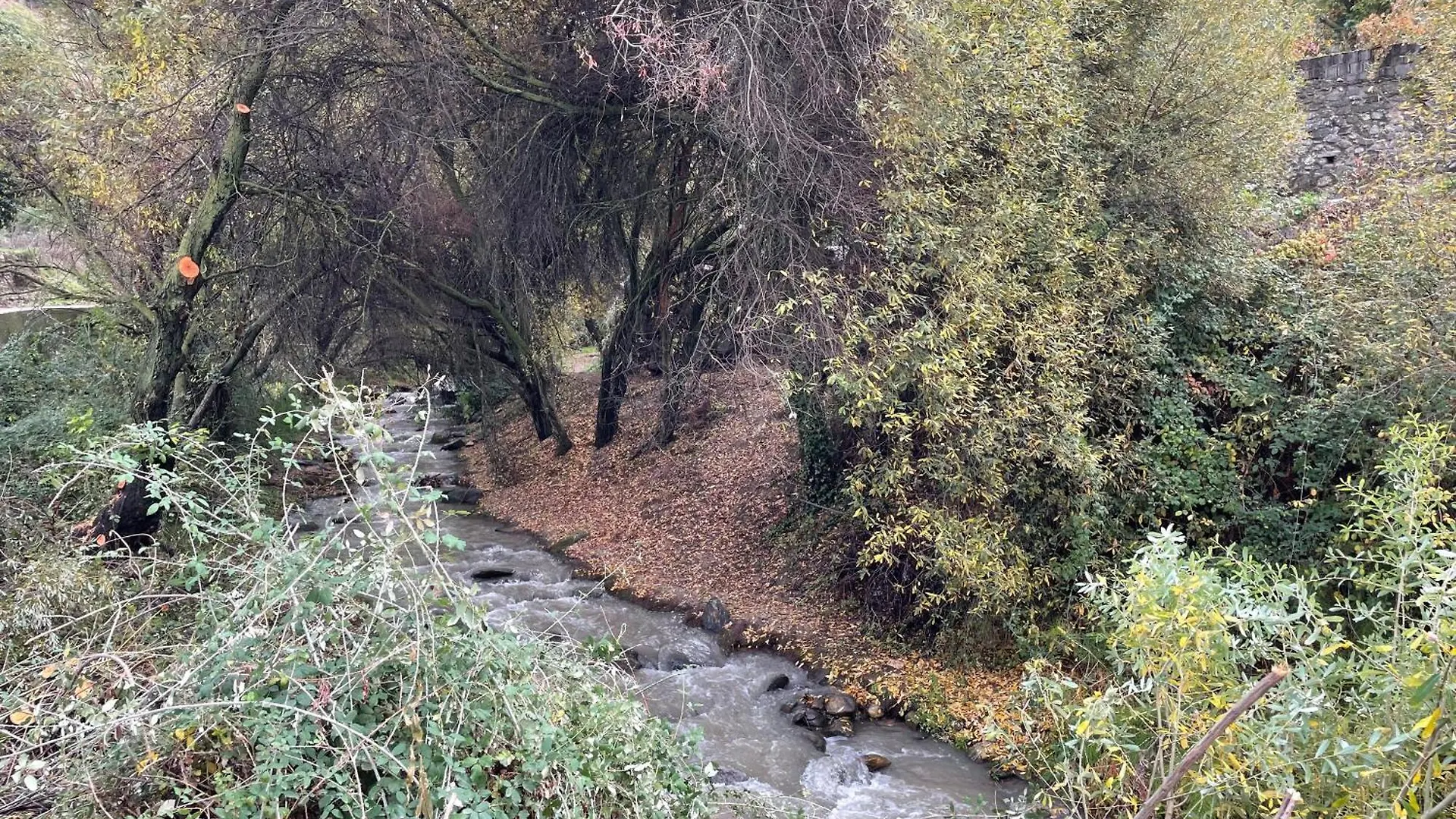Apartamento Junto Al Rio En Entrada Ruta Cahorros موناتْشيل